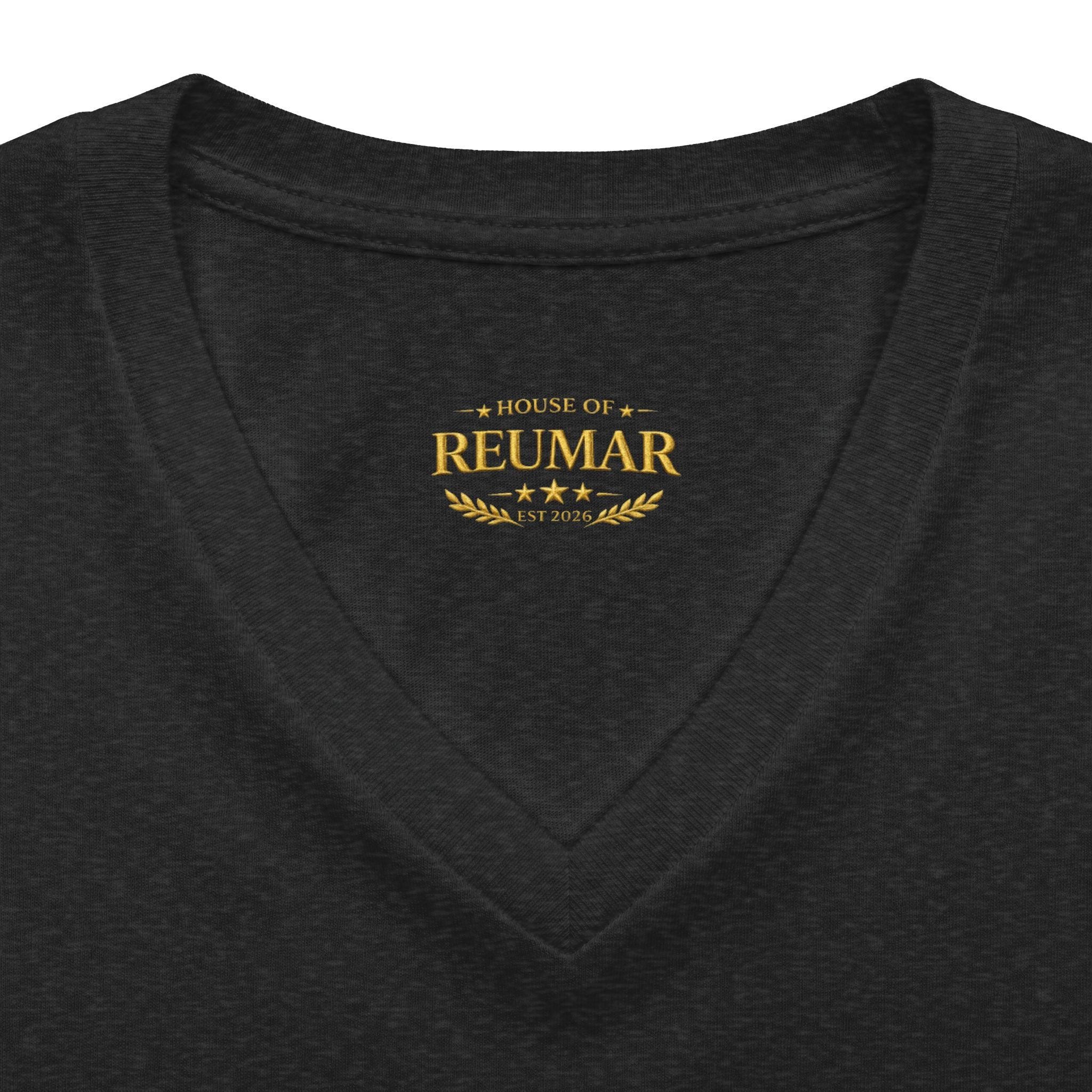Women's V-Neck Tee — 'RM House of Reumar' Collegiate Graphic