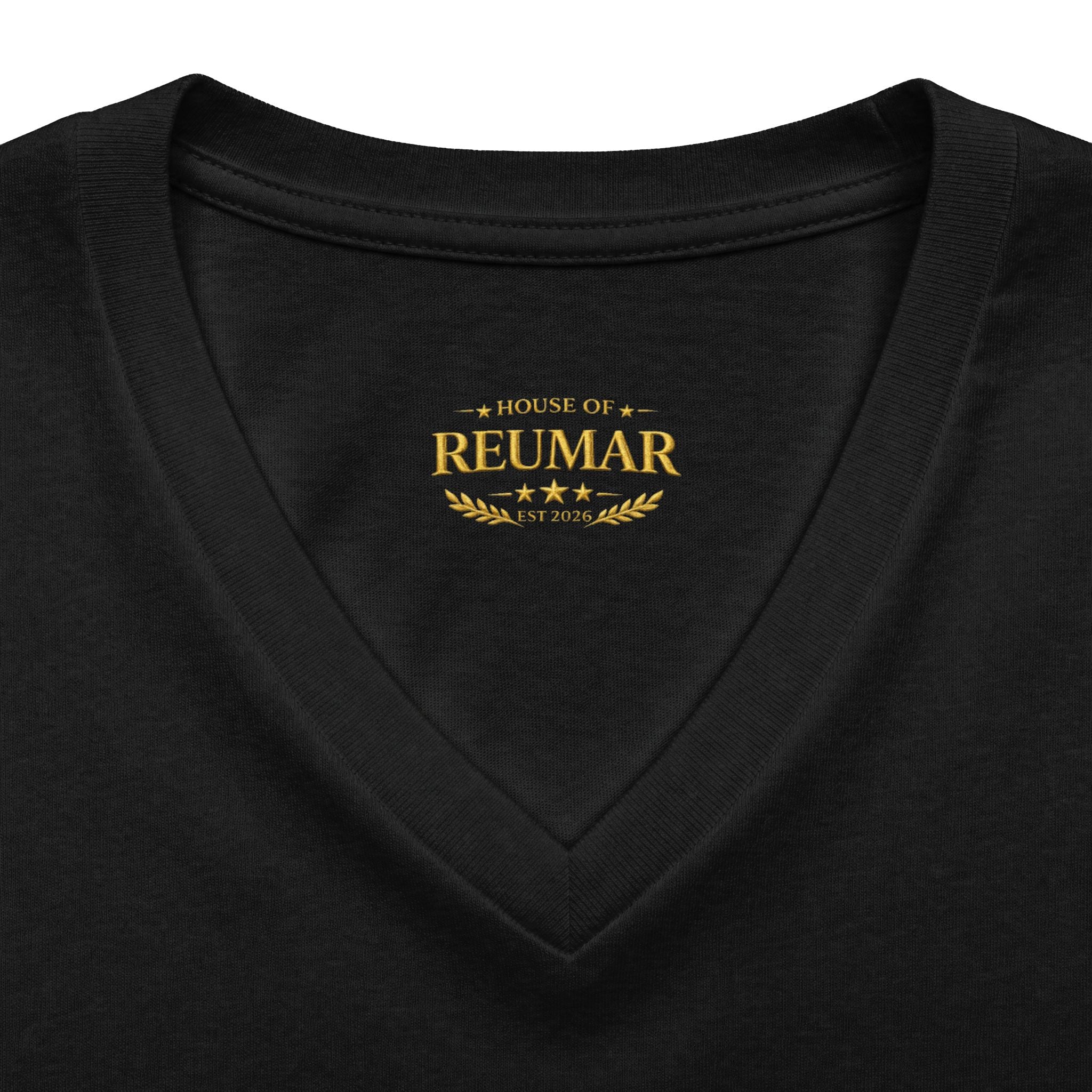 Women's V-Neck Tee — 'RM House of Reumar' Collegiate Graphic